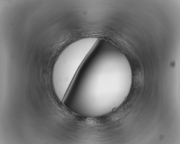 X0000091290608200708101027