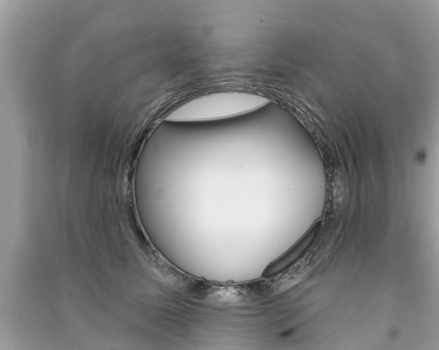 X0000091290611200708101027