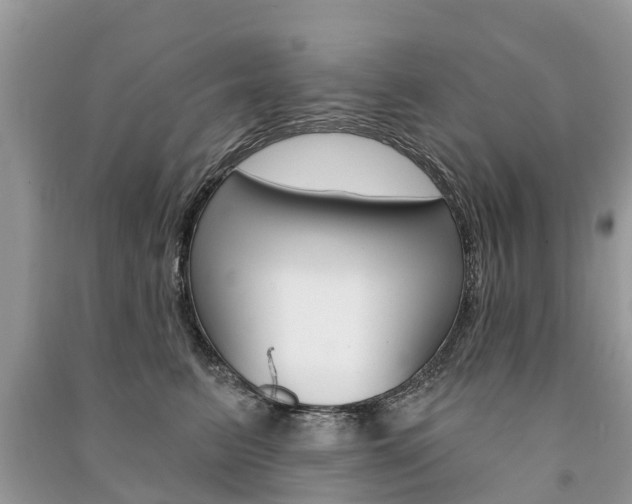 X0000091290615200708101027