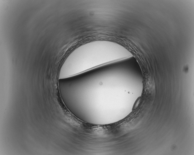 X0000091290616200708101027