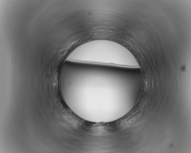 X0000091290620200708101027