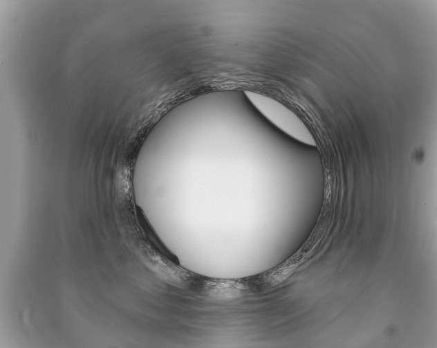 X0000091290621200708101027