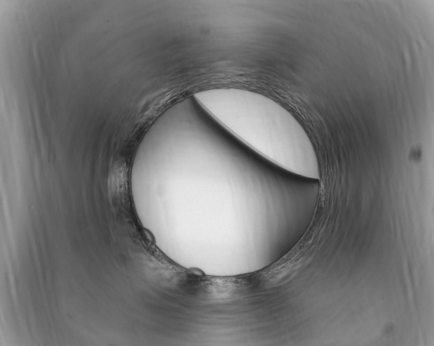 X0000091290623200708101027