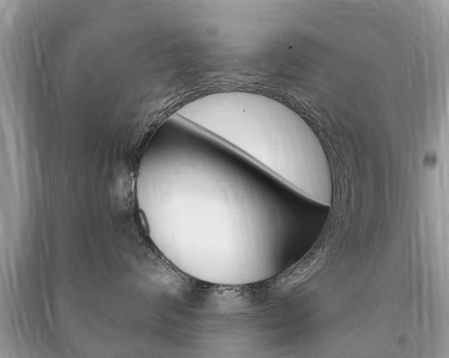 X0000091290624200708101027
