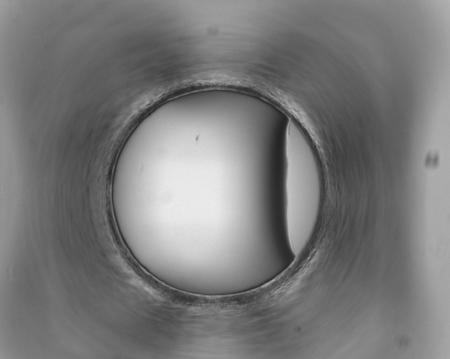X0000091290625200708101027