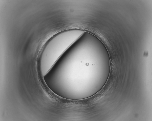 X0000091290626200708101027