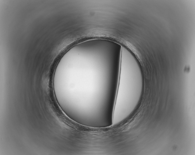 X0000091290627200708101027