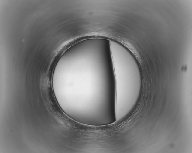 X0000091290628200708101027