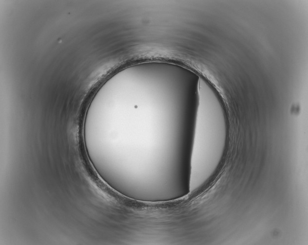 X0000091290629200708101027
