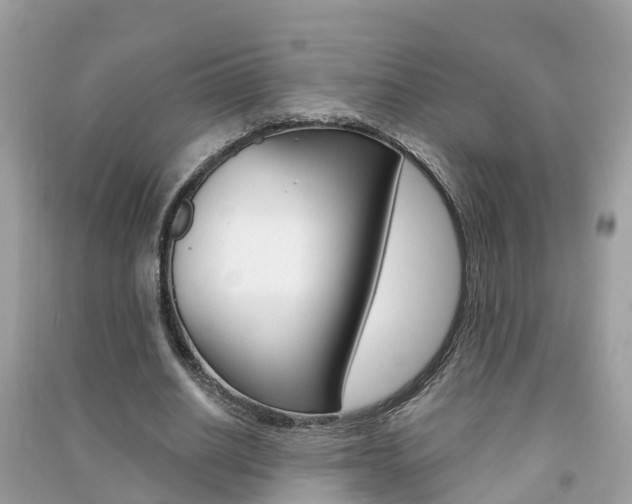 X0000091290630200708101027
