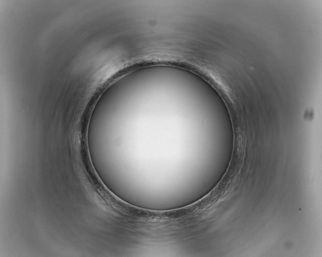 X0000091290631200708101027