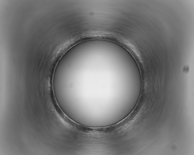 X0000091290633200708101027