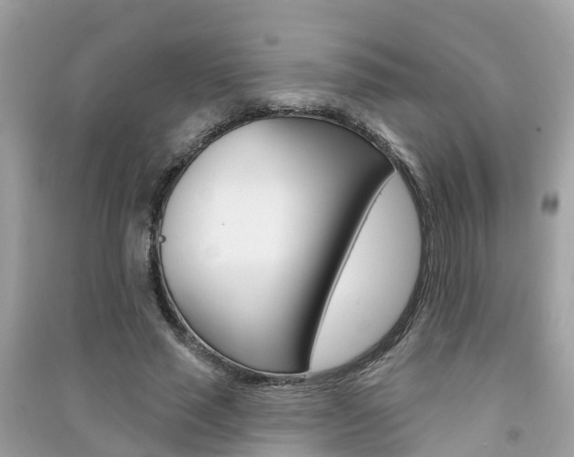 X0000091290637200708101027