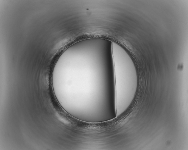 X0000091290638200708101027