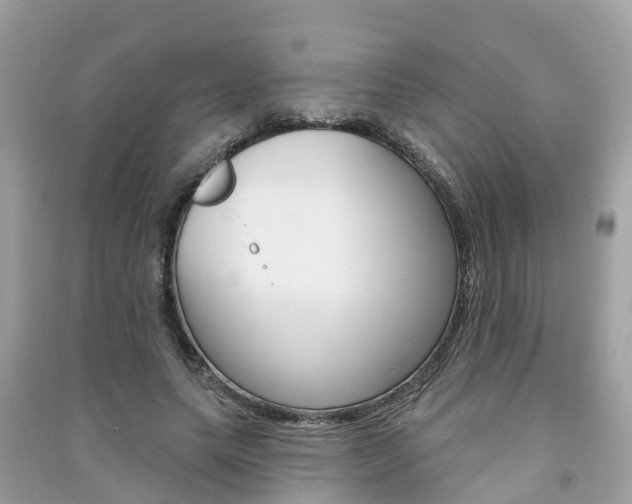 X0000091290639200708101027