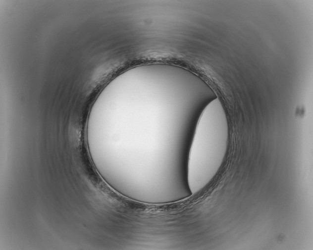 X0000091290640200708101027