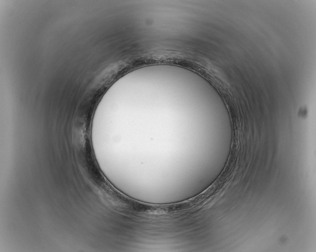 X0000091290644200708101027