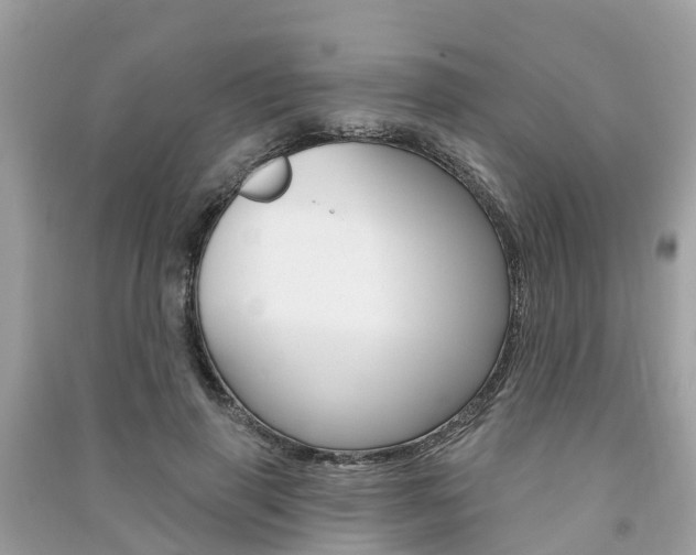 X0000091290645200708101027
