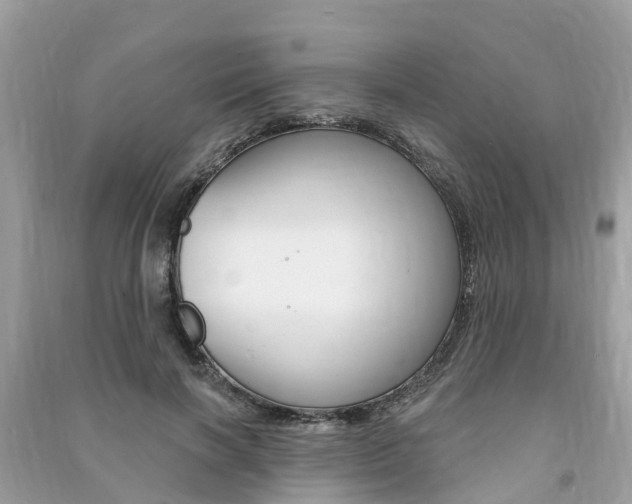 X0000091290646200708101027