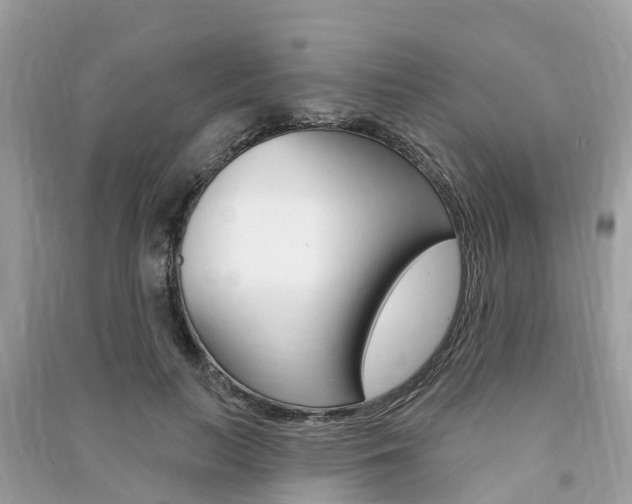 X0000091290647200708101027