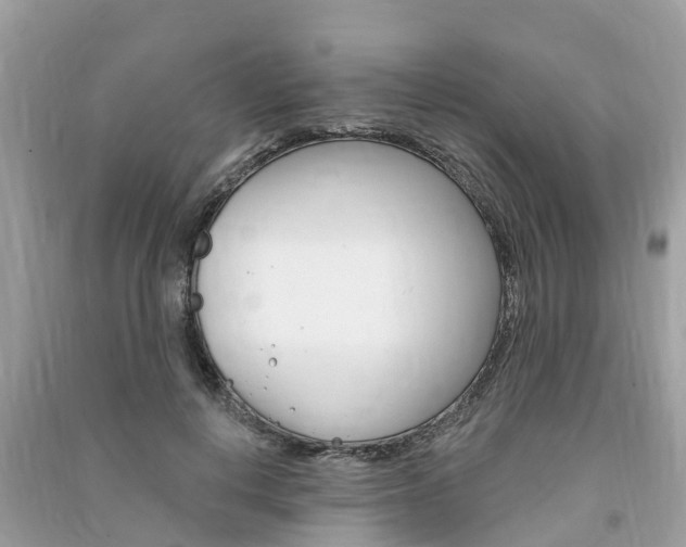 X0000091290648200708101027