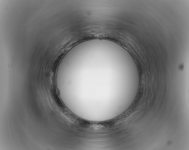 X0000091290650200708101027