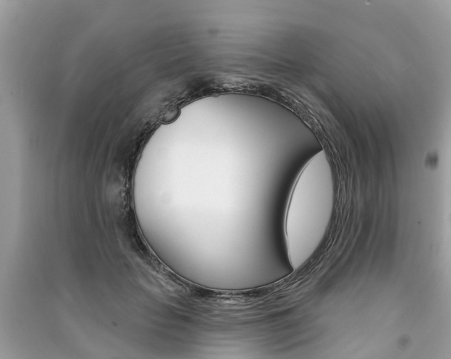 X0000091290653200708101027