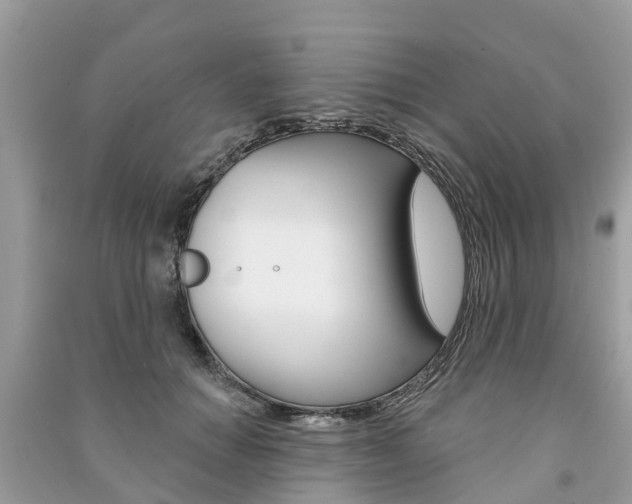 X0000091290654200708101027