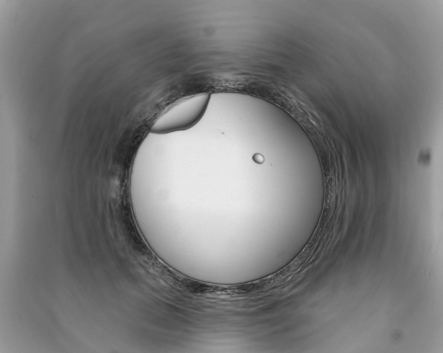 X0000091290655200708101027