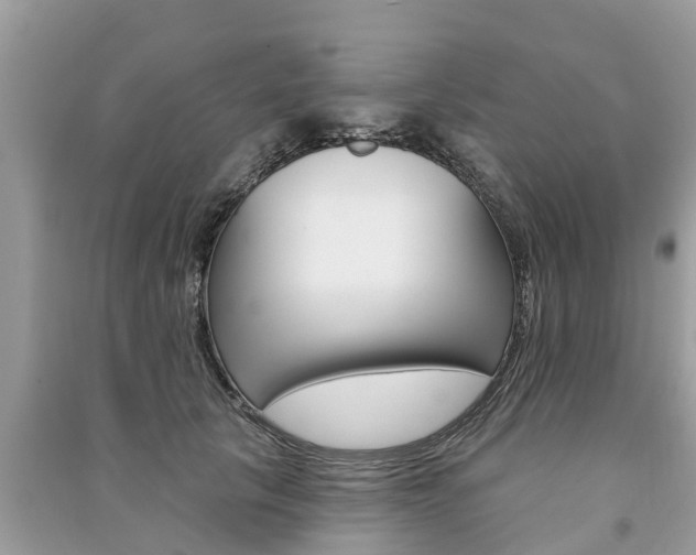 X0000091290657200708101027