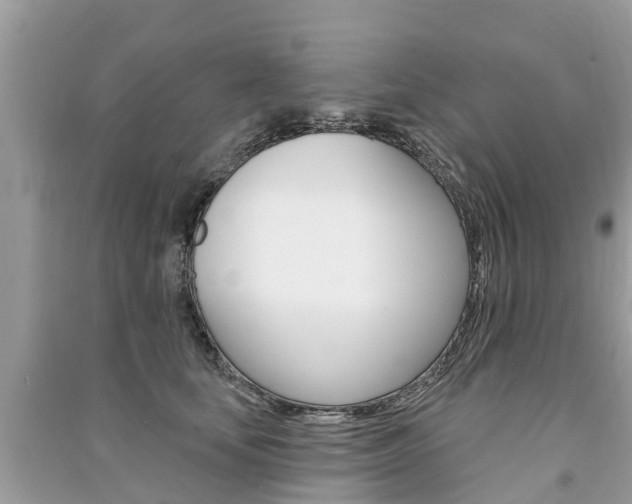 X0000091290659200708101027