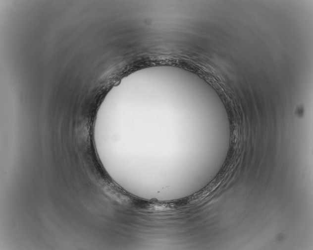 X0000091290662200708101027