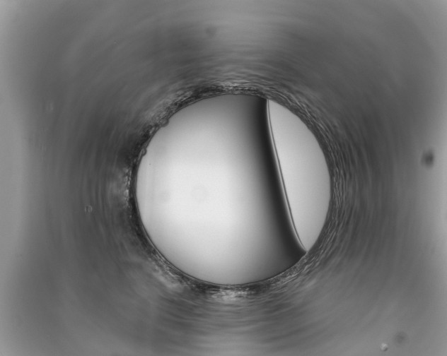X0000091290664200708101027