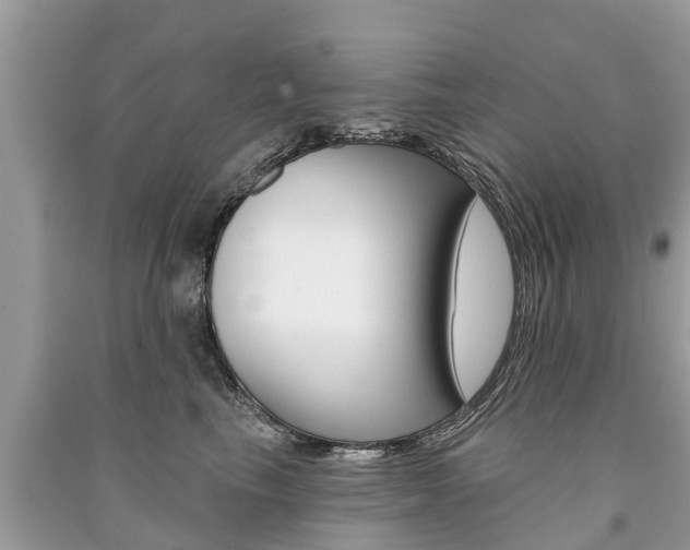 X0000091290665200708101027