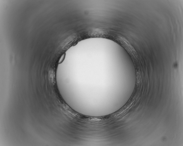 X0000091290669200708101027