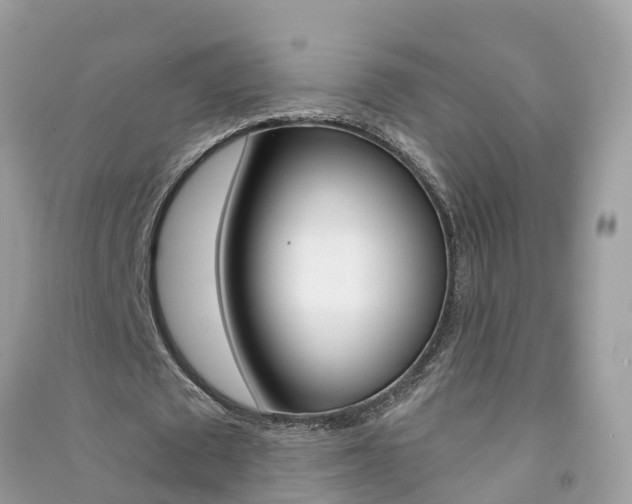 X0000091290673200708101027