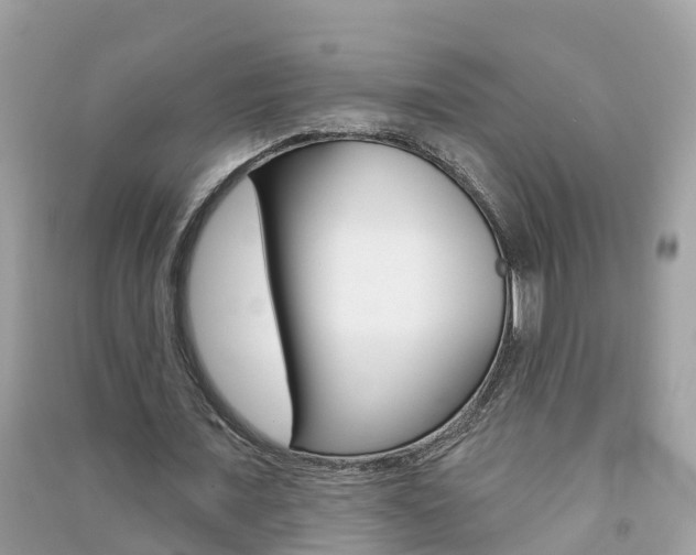 X0000091290675200708101027