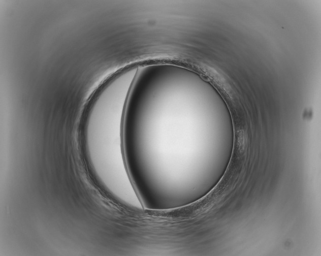 X0000091290676200708101027