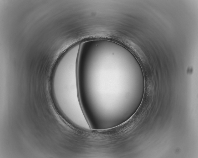X0000091290677200708101027