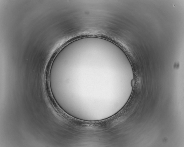 X0000091290678200708101027