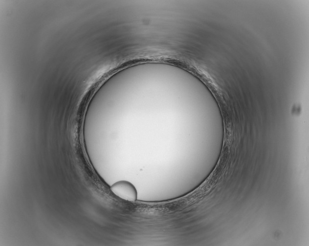 X0000091290679200708101027