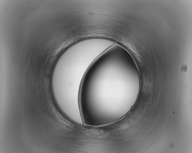 X0000091290681200708101027