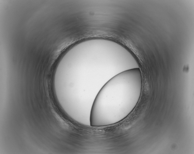 X0000091290683200708101026