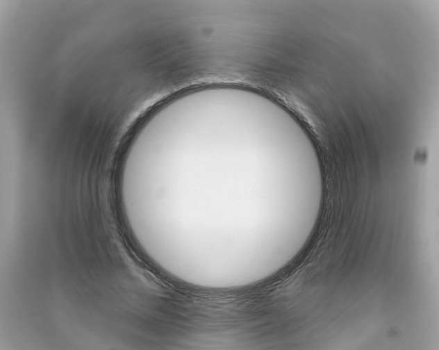 X0000091290684200708101026