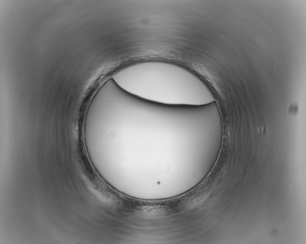 X0000091290686200708101026