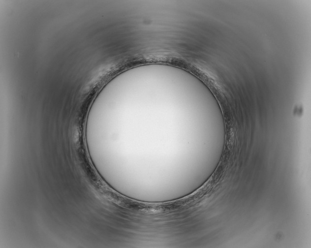X0000091290687200708101026