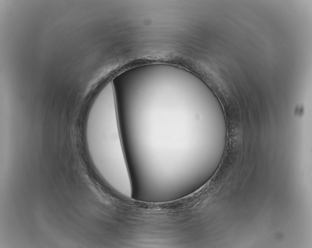 X0000091290688200708101026