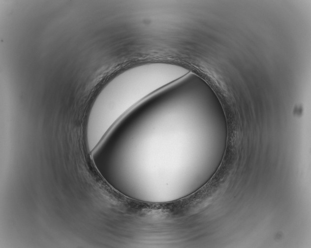 X0000091290689200708101026