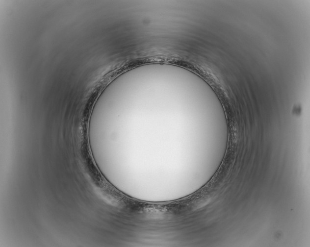 X0000091290690200708101026