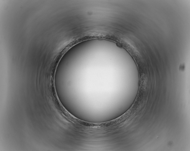 X0000091290692200708101026